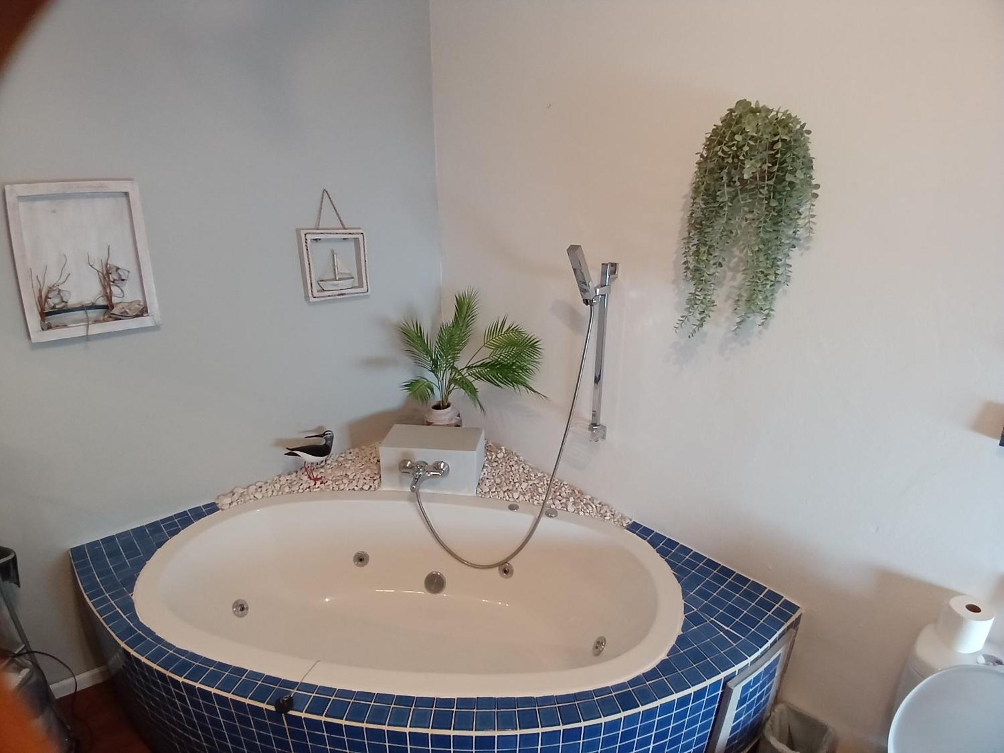 Ons Stee Bed And Breakfast Wellington Bagian luar foto